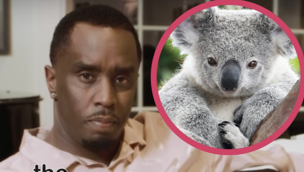 Diddy Calls Out Renowned Courtroom Sketch Artist, Asks Her To ‘Stop Making Me Look Like A Koala Bear’