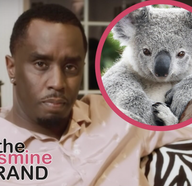 Diddy Calls Out Renowned Courtroom Sketch Artist, Asks Her To ‘Stop Making Me Look Like A Koala Bear’