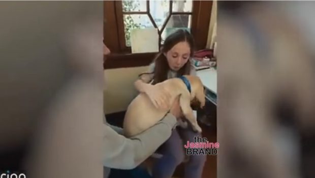 Ring Doorbell Blasted Over Controversial “Search Party” Feature Letting Al Access Cameras To Find Lost Dogs