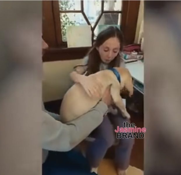 Ring Doorbell Blasted Over Controversial “Search Party” Feature Letting Al Access Cameras To Find Lost Dogs