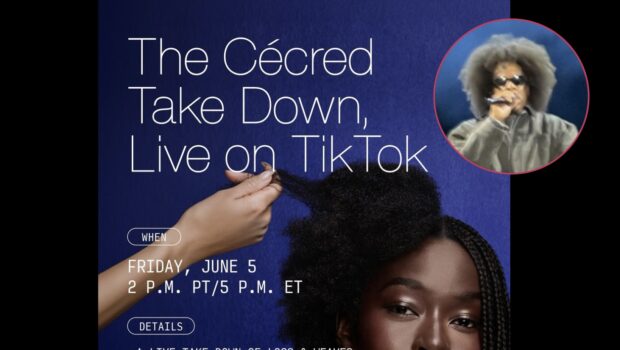 Jay-Z’s Roots Picnic Afro Turns Into A Viral Hair Care Moment As Cécred Hosts TikTok Session About Loc Comb-Outs