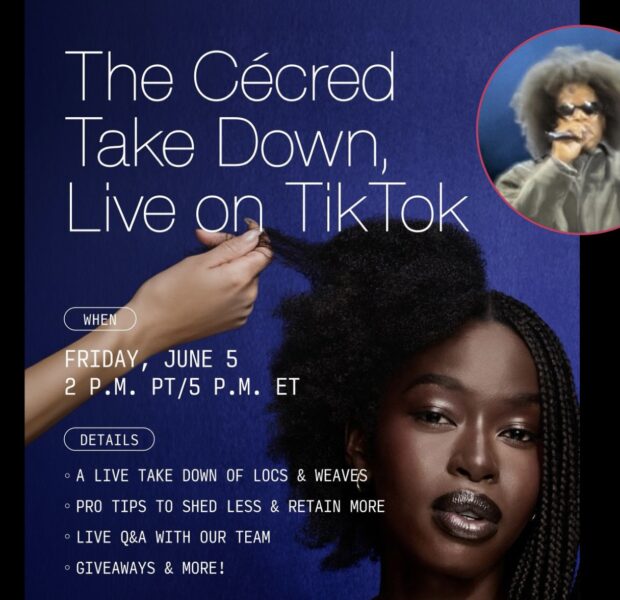 Jay-Z’s Roots Picnic Afro Turns Into A Viral Hair Care Moment As Cécred Hosts TikTok Session About Loc Comb-Outs