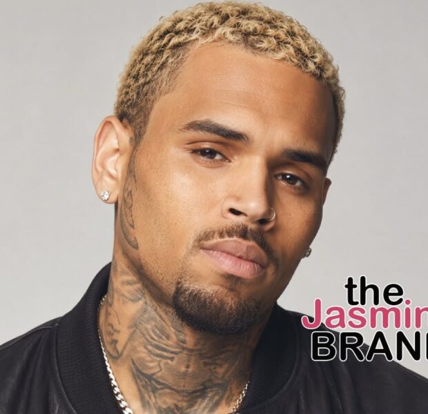 [Update] Chris Brown Ordered To Pay Nearly $13 Million After Housekeeper Wins Dog Att*ck Lawsuit