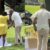 Woman Puts Husband On Blast After Stranger Posts Him Online Allegedly Proposing To Another Woman, Using Decor From Their Wedding Day: ‘Sign The Divorce Papers’