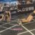 Fitness Competition Brand HYROX Issues Apology After Allowing Woman To Complete The Beijing Race Despite Allegedly Having Explosive Diarrhea Midway Through