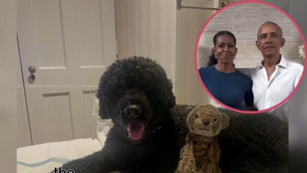 Barack & Michelle Obama Share Their Family Dog Sunny Has Passed Away