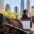 Here For It? Mayor Zohran Mamdani Announces Plans To End NYC’s Horse-Drawn Carriage Industry, Vows To Protect Workers & Horses