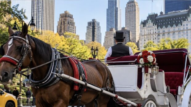 Here For It? Mayor Zohran Mamdani Announces Plans To End NYC’s Horse-Drawn Carriage Industry, Vows To Protect Workers & Horses