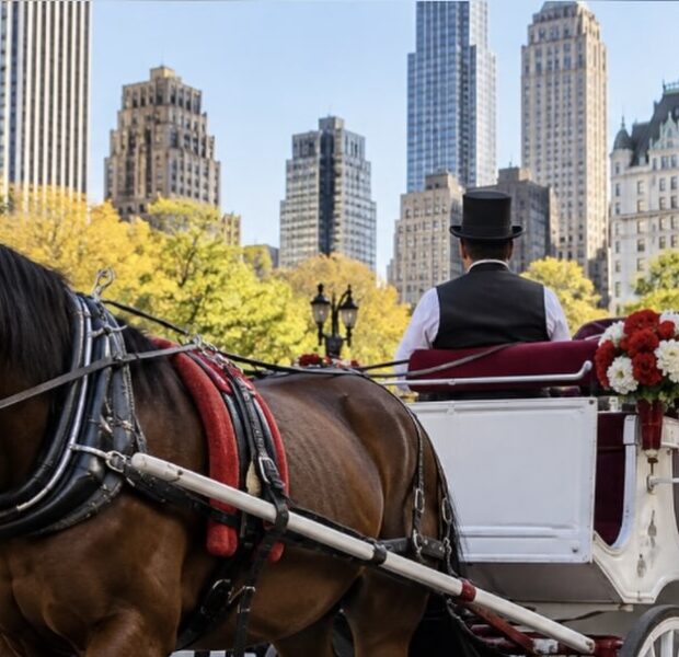 Here For It? Mayor Zohran Mamdani Announces Plans To End NYC’s Horse-Drawn Carriage Industry, Vows To Protect Workers & Horses